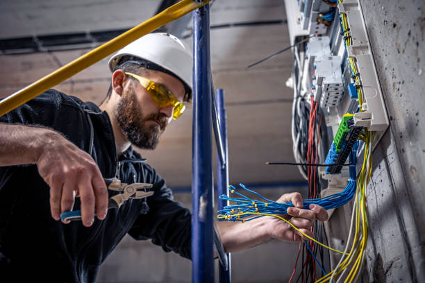 Best Electric Panel Repair  in Jamestown, TN